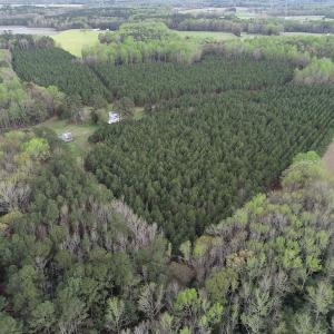 Photo #8 of 30075 Meherrin Road, Boykins, VA 116.0 acres