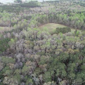 Photo #10 of 30075 Meherrin Road, Boykins, VA 116.0 acres
