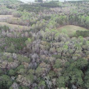 Photo #11 of 30075 Meherrin Road, Boykins, VA 116.0 acres
