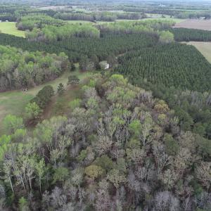 Photo #12 of 30075 Meherrin Road, Boykins, VA 116.0 acres