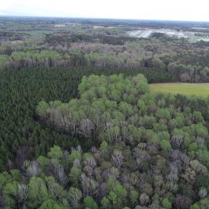 Photo #13 of 30075 Meherrin Road, Boykins, VA 116.0 acres