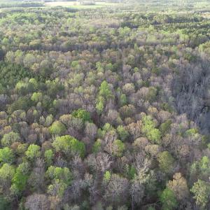 Photo #14 of 30075 Meherrin Road, Boykins, VA 116.0 acres