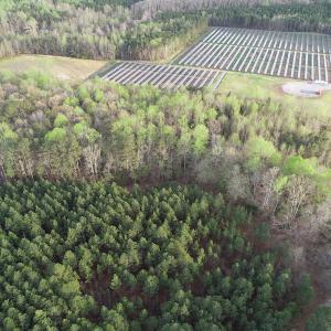 Photo #16 of 30075 Meherrin Road, Boykins, VA 116.0 acres
