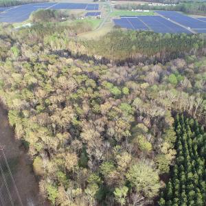 Photo #19 of 30075 Meherrin Road, Boykins, VA 116.0 acres