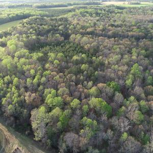 Photo #21 of 30075 Meherrin Road, Boykins, VA 116.0 acres