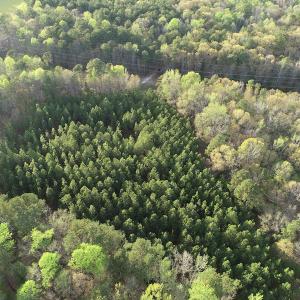 Photo #22 of 30075 Meherrin Road, Boykins, VA 116.0 acres