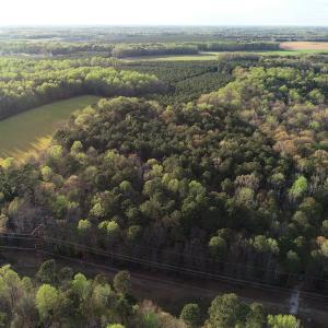 Photo #23 of 30075 Meherrin Road, Boykins, VA 116.0 acres
