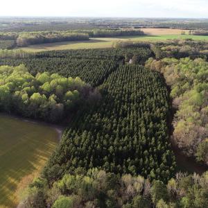 Photo #24 of 30075 Meherrin Road, Boykins, VA 116.0 acres