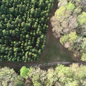 Photo #25 of 30075 Meherrin Road, Boykins, VA 116.0 acres