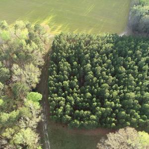 Photo #26 of 30075 Meherrin Road, Boykins, VA 116.0 acres
