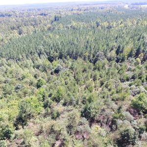 Photo #3 of SOLD property in Off Horseshoe Trail, Halifax, VA 48.0 acres