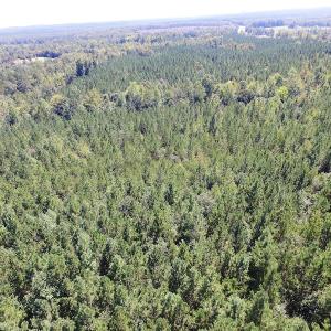 Photo #4 of SOLD property in Off Horseshoe Trail, Halifax, VA 48.0 acres