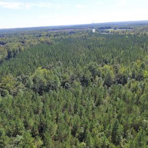 Photo #5 of SOLD property in Off Horseshoe Trail, Halifax, VA 48.0 acres