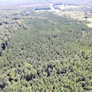 Photo #6 of SOLD property in Off Horseshoe Trail, Halifax, VA 48.0 acres
