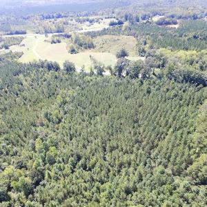 Photo #7 of SOLD property in Off Horseshoe Trail, Halifax, VA 48.0 acres