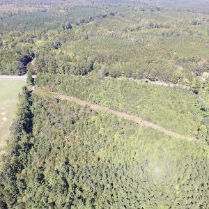Photo #8 of SOLD property in Off Horseshoe Trail, Halifax, VA 48.0 acres