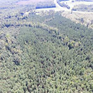Photo #9 of SOLD property in Off Horseshoe Trail, Halifax, VA 48.0 acres