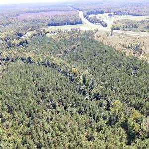 Photo #10 of SOLD property in Off Horseshoe Trail, Halifax, VA 48.0 acres