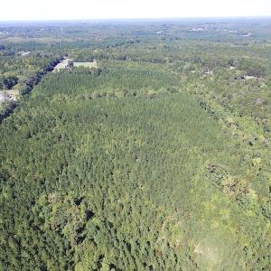 Photo #11 of SOLD property in Off Horseshoe Trail, Halifax, VA 48.0 acres