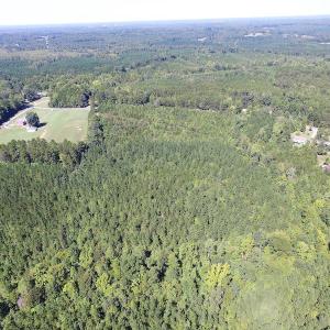Photo #12 of SOLD property in Off Horseshoe Trail, Halifax, VA 48.0 acres