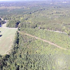 Photo #13 of SOLD property in Off Horseshoe Trail, Halifax, VA 48.0 acres