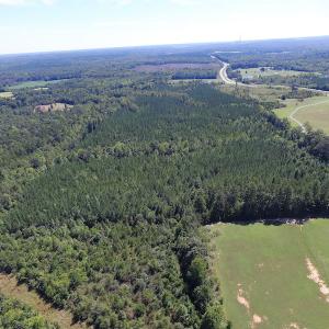 Photo #14 of SOLD property in Off Horseshoe Trail, Halifax, VA 48.0 acres
