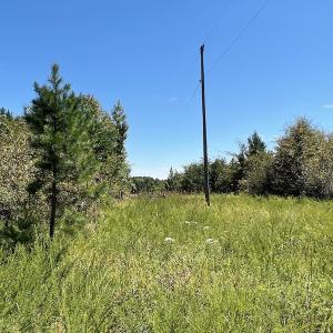 Photo #16 of SOLD property in Off Horseshoe Trail, Halifax, VA 48.0 acres