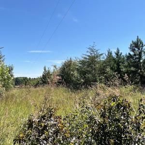 Photo #17 of SOLD property in Off Horseshoe Trail, Halifax, VA 48.0 acres