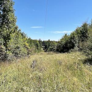 Photo #20 of SOLD property in Off Horseshoe Trail, Halifax, VA 48.0 acres