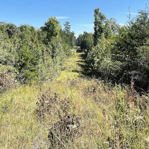 Photo #21 of SOLD property in Off Horseshoe Trail, Halifax, VA 48.0 acres