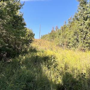 Photo #22 of SOLD property in Off Horseshoe Trail, Halifax, VA 48.0 acres