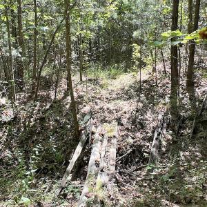 Photo #28 of SOLD property in Off Horseshoe Trail, Halifax, VA 48.0 acres
