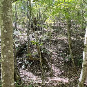 Photo #30 of SOLD property in Off Horseshoe Trail, Halifax, VA 48.0 acres