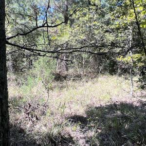 Photo #34 of SOLD property in Off Horseshoe Trail, Halifax, VA 48.0 acres