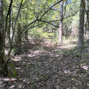 Photo #41 of SOLD property in Off Horseshoe Trail, Halifax, VA 48.0 acres