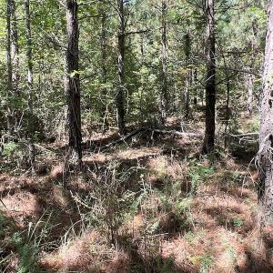 Photo #49 of SOLD property in Off Horseshoe Trail, Halifax, VA 48.0 acres