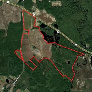 Photo #1 of SOLD property in 291 S Dobson Chapel Road, Kenansville, NC 290.0 acres