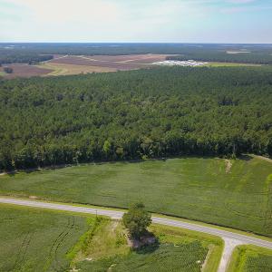 Photo #2 of SOLD property in 291 S Dobson Chapel Road, Kenansville, NC 290.0 acres