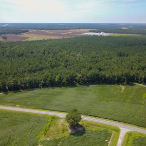 Photo #2 of SOLD property in 291 S Dobson Chapel Road, Kenansville, NC 290.0 acres