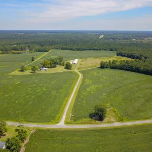 Photo #4 of SOLD property in 291 S Dobson Chapel Road, Kenansville, NC 290.0 acres