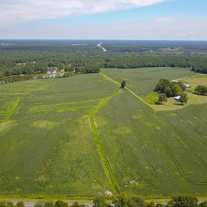 Photo #5 of SOLD property in 291 S Dobson Chapel Road, Kenansville, NC 290.0 acres