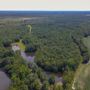 Photo #8 of SOLD property in 291 S Dobson Chapel Road, Kenansville, NC 290.0 acres