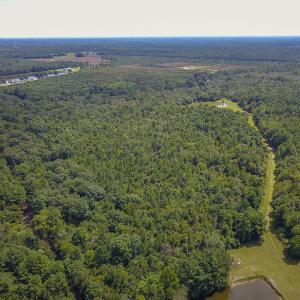 Photo #9 of SOLD property in 291 S Dobson Chapel Road, Kenansville, NC 290.0 acres