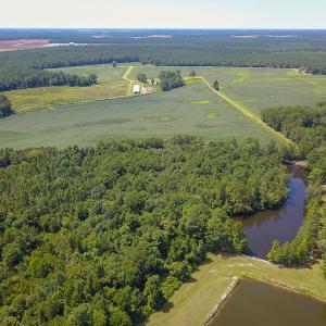 Photo #10 of SOLD property in 291 S Dobson Chapel Road, Kenansville, NC 290.0 acres