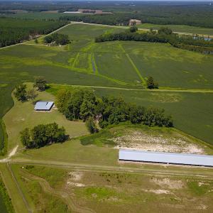 Photo #11 of SOLD property in 291 S Dobson Chapel Road, Kenansville, NC 290.0 acres
