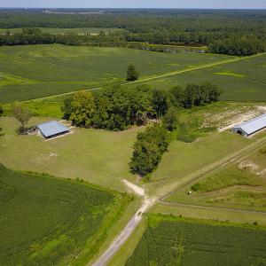 Photo #12 of SOLD property in 291 S Dobson Chapel Road, Kenansville, NC 290.0 acres