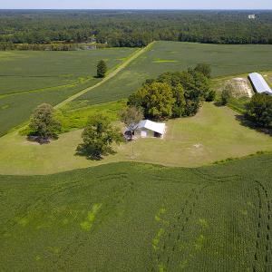 Photo #13 of SOLD property in 291 S Dobson Chapel Road, Kenansville, NC 290.0 acres