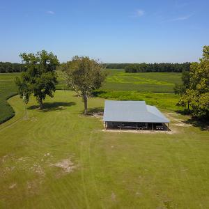 Photo #17 of SOLD property in 291 S Dobson Chapel Road, Kenansville, NC 290.0 acres