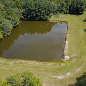 Photo #18 of SOLD property in 291 S Dobson Chapel Road, Kenansville, NC 290.0 acres