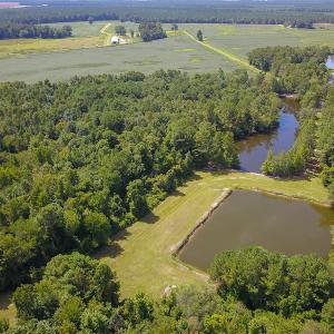 Photo #20 of SOLD property in 291 S Dobson Chapel Road, Kenansville, NC 290.0 acres